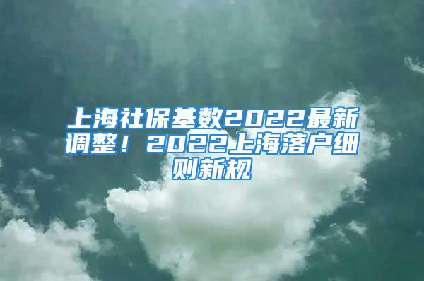 上海社?；鶖?shù)2022最新調(diào)整！2022上海落戶細(xì)則新規(guī)