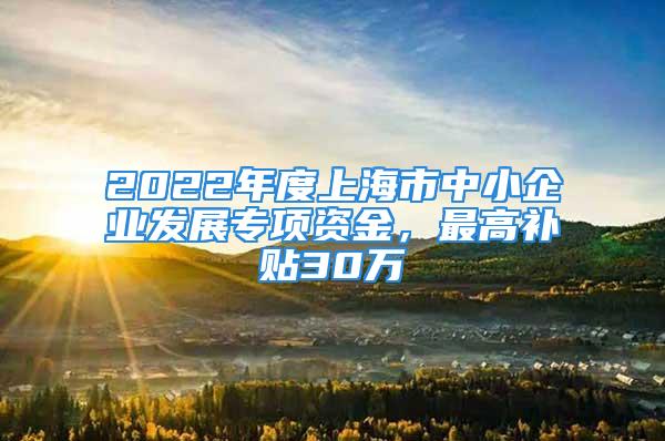 2022年度上海市中小企業(yè)發(fā)展專(zhuān)項(xiàng)資金，最高補(bǔ)貼30萬(wàn)