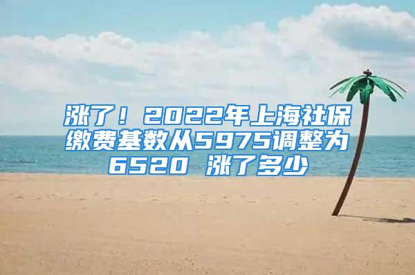 漲了！2022年上海社保繳費基數從5975調整為6520 漲了多少