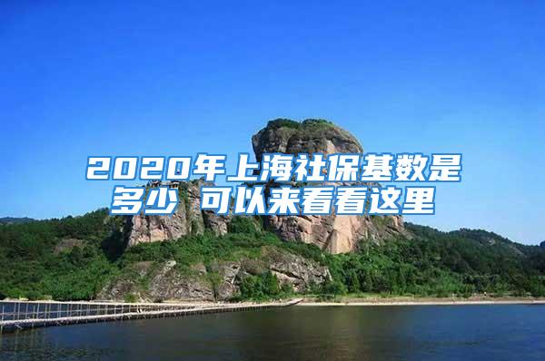 2020年上海社?；鶖凳嵌嗌?可以來看看這里