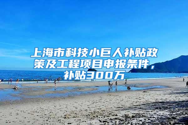 上海市科技小巨人補貼政策及工程項目申報條件，補貼300萬