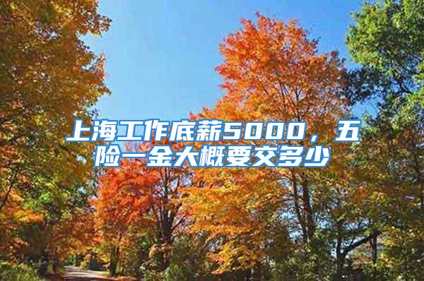 上海工作底薪5000，五險一金大概要交多少