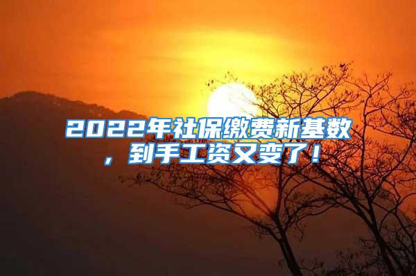 2022年社保繳費(fèi)新基數(shù)，到手工資又變了！