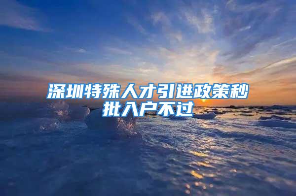 深圳特殊人才引進政策秒批入戶不過