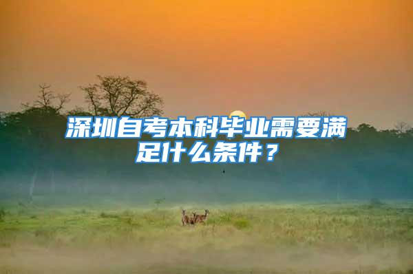 深圳自考本科畢業(yè)需要滿(mǎn)足什么條件？