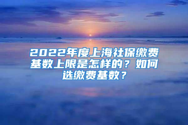 2022年度上海社保繳費(fèi)基數(shù)上限是怎樣的？如何選繳費(fèi)基數(shù)？