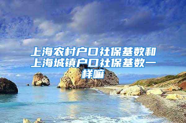 上海農村戶口社?；鶖?shù)和上海城鎮(zhèn)戶口社?；鶖?shù)一樣嘛