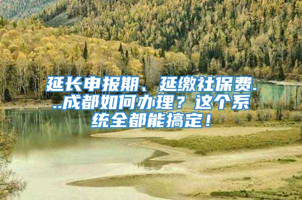 延長申報期、延繳社保費...成都如何辦理？這個系統(tǒng)全都能搞定！