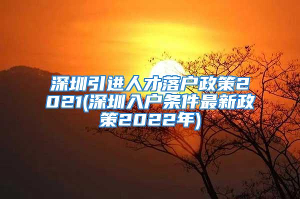 深圳引進人才落戶政策2021(深圳入戶條件最新政策2022年)