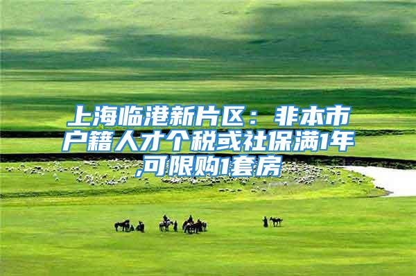 上海臨港新片區(qū)：非本市戶籍人才個稅或社保滿1年,可限購1套房