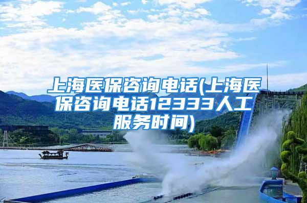 上海醫(yī)保咨詢電話(上海醫(yī)保咨詢電話12333人工服務(wù)時(shí)間)