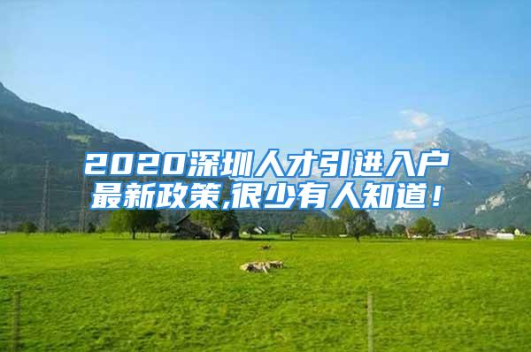 2020深圳人才引進(jìn)入戶最新政策,很少有人知道！