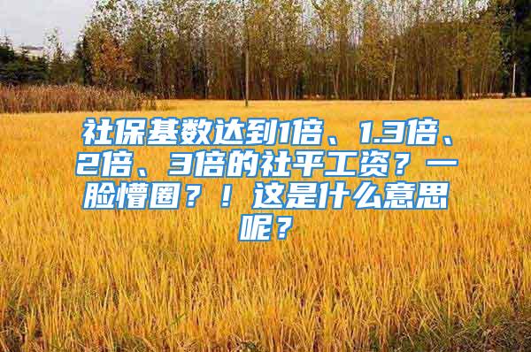 社?；鶖?shù)達(dá)到1倍、1.3倍、2倍、3倍的社平工資？一臉懵圈？！這是什么意思呢？