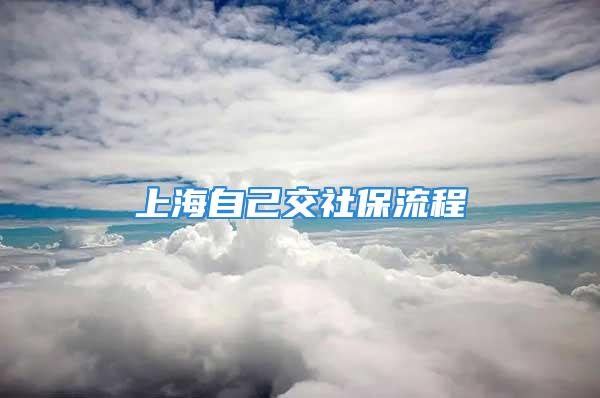 上海自己交社保流程