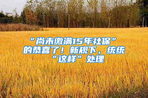 “尚未繳滿15年社保” 的恭喜了！新規(guī)下，統(tǒng)統(tǒng)“這樣”處理