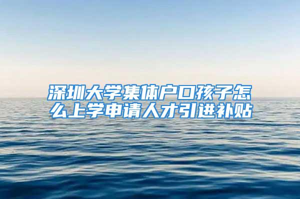 深圳大學(xué)集體戶口孩子怎么上學(xué)申請人才引進補貼