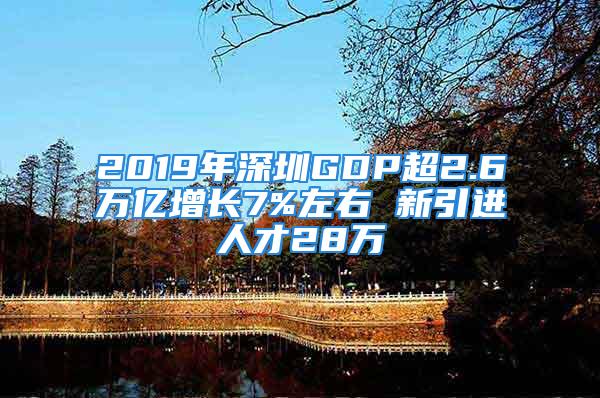 2019年深圳GDP超2.6萬億增長7%左右 新引進(jìn)人才28萬