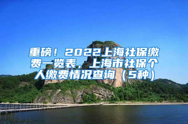 重磅！2022上海社保繳費(fèi)一覽表，上海市社保個(gè)人繳費(fèi)情況查詢（5種）