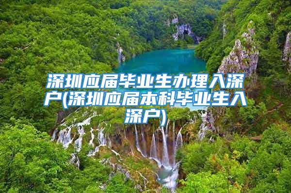 深圳應屆畢業(yè)生辦理入深戶(深圳應屆本科畢業(yè)生入深戶)