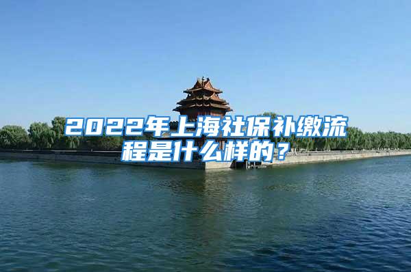 2022年上海社保補繳流程是什么樣的？