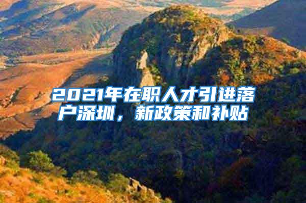 2021年在職人才引進落戶深圳，新政策和補貼