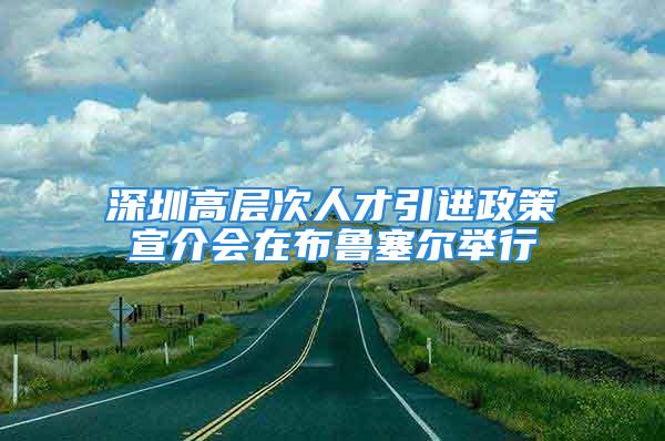 深圳高層次人才引進(jìn)政策宣介會(huì)在布魯塞爾舉行