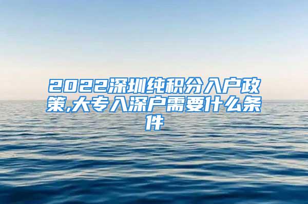 2022深圳純積分入戶政策,大專入深戶需要什么條件