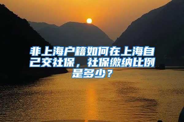 非上海戶籍如何在上海自己交社保，社保繳納比例是多少？