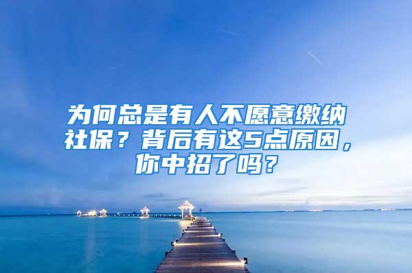 為何總是有人不愿意繳納社保？背后有這5點(diǎn)原因，你中招了嗎？