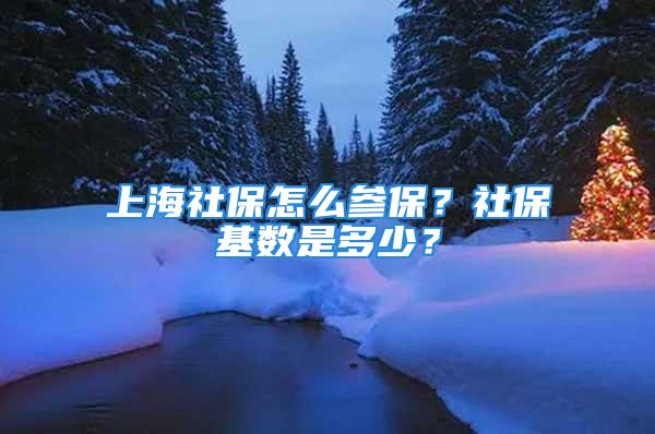 上海社保怎么參保？社?；鶖?shù)是多少？