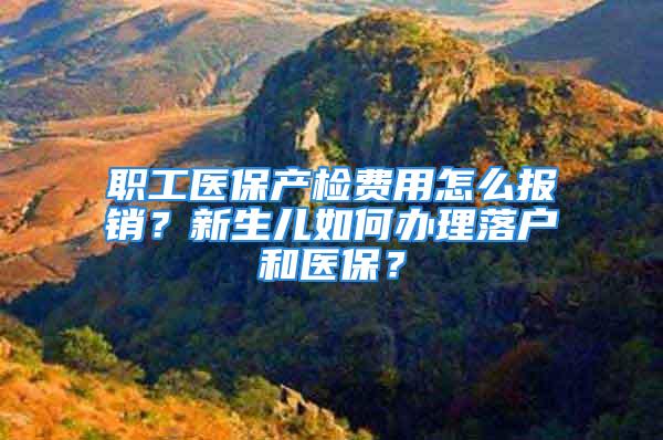 職工醫(yī)保產檢費用怎么報銷？新生兒如何辦理落戶和醫(yī)保？