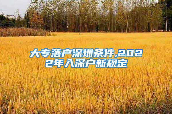 大專落戶深圳條件,2022年入深戶新規(guī)定