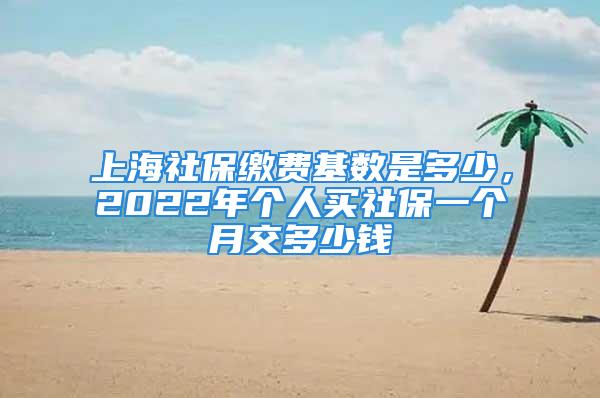 上海社保繳費基數(shù)是多少，2022年個人買社保一個月交多少錢