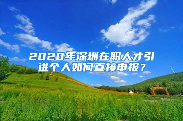 2020年深圳在職人才引進(jìn)個(gè)人如何直接申報(bào)？