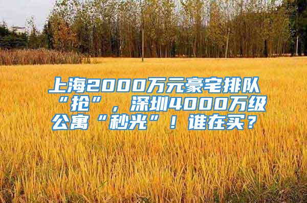 上海2000萬元豪宅排隊(duì)“搶”，深圳4000萬級(jí)公寓“秒光”！誰在買？