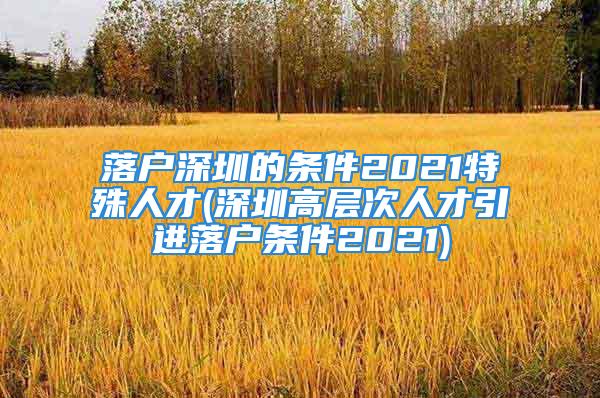 落戶深圳的條件2021特殊人才(深圳高層次人才引進落戶條件2021)