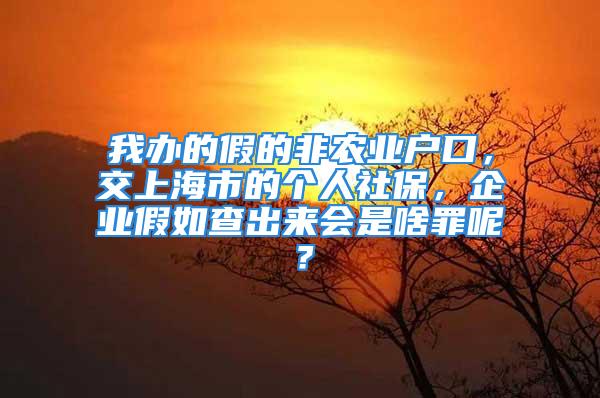 我辦的假的非農(nóng)業(yè)戶口，交上海市的個(gè)人社保，企業(yè)假如查出來(lái)會(huì)是啥罪呢？