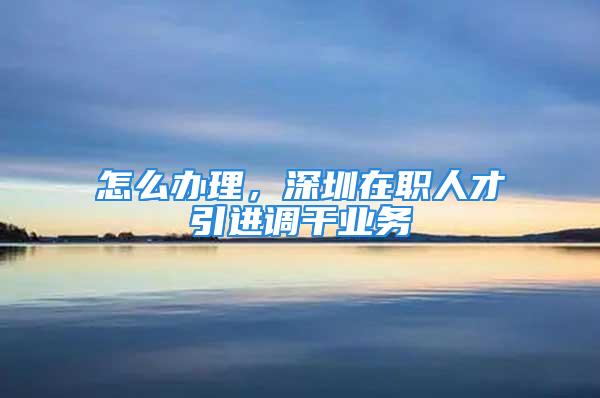 怎么辦理，深圳在職人才引進(jìn)調(diào)干業(yè)務(wù)