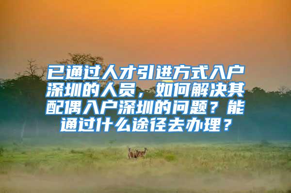 已通過(guò)人才引進(jìn)方式入戶深圳的人員，如何解決其配偶入戶深圳的問(wèn)題？能通過(guò)什么途徑去辦理？