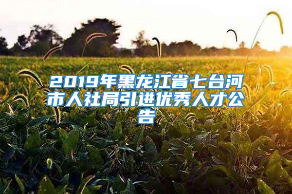 2019年黑龍江省七臺(tái)河市人社局引進(jìn)優(yōu)秀人才公告