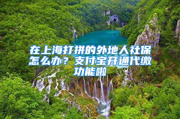 在上海打拼的外地人社保怎么辦？支付寶開通代繳功能啦