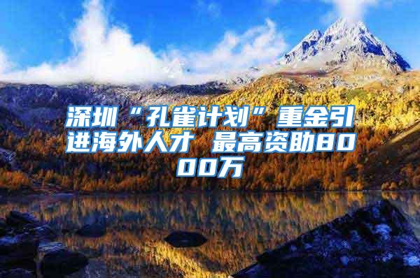 深圳“孔雀計劃”重金引進海外人才 最高資助8000萬