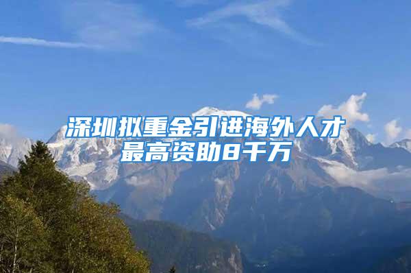 深圳擬重金引進(jìn)海外人才最高資助8千萬