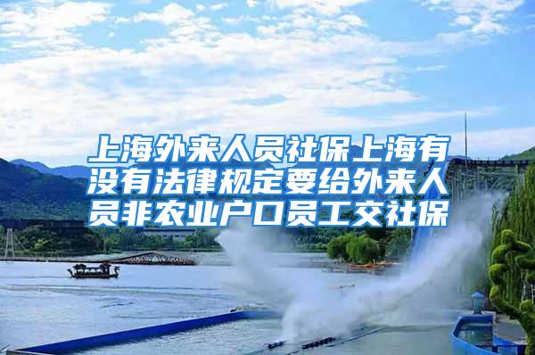 上海外來人員社保上海有沒有法律規(guī)定要給外來人員非農(nóng)業(yè)戶口員工交社保