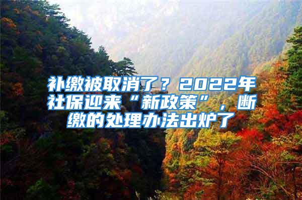 補(bǔ)繳被取消了？2022年社保迎來“新政策”，斷繳的處理辦法出爐了