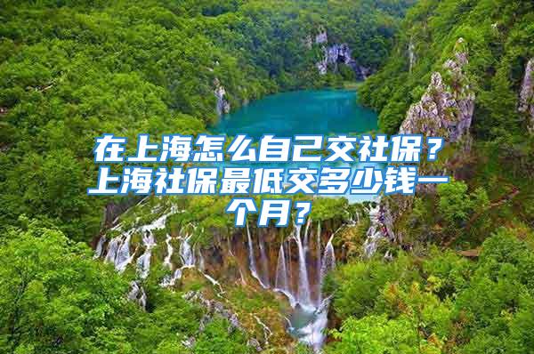 在上海怎么自己交社保？上海社保最低交多少錢一個月？