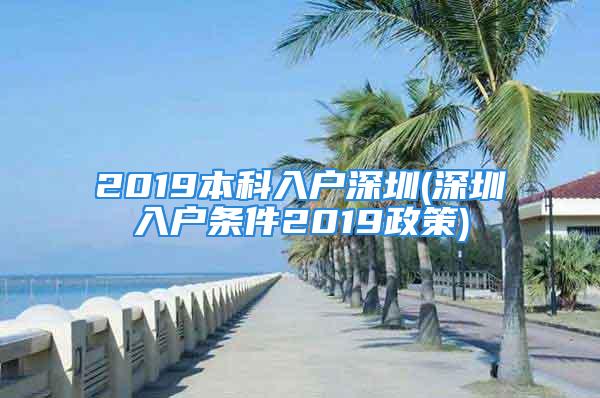 2019本科入戶深圳(深圳入戶條件2019政策)