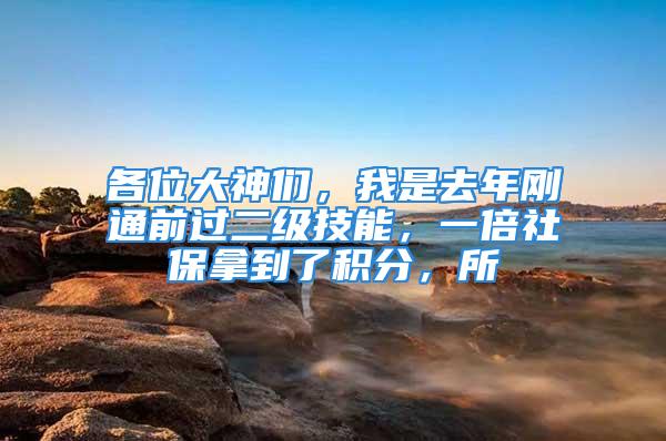 各位大神們，我是去年剛通前過(guò)二級(jí)技能，一倍社保拿到了積分，所