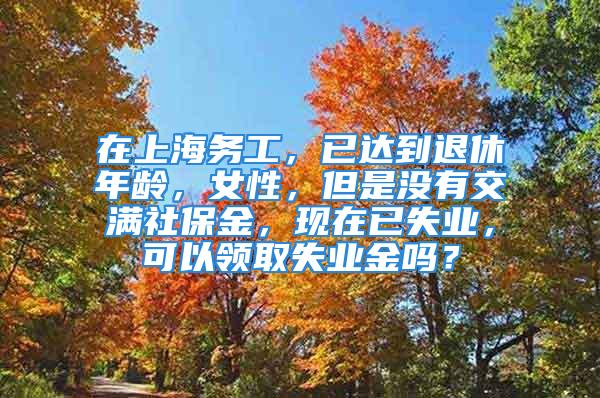 在上海務(wù)工，已達(dá)到退休年齡，女性，但是沒有交滿社保金，現(xiàn)在已失業(yè)，可以領(lǐng)取失業(yè)金嗎？