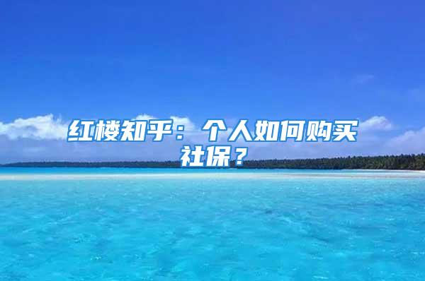 紅樓知乎：個人如何購買社保？